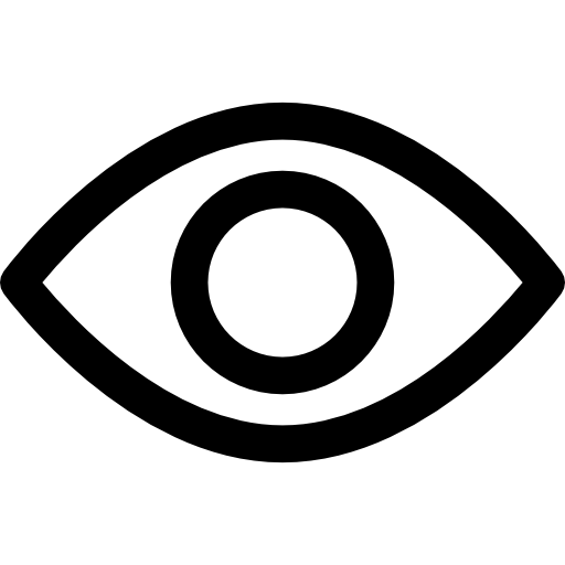 Vision Icon