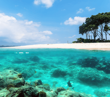 ANDAMAN