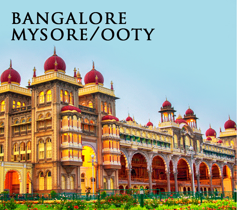 domestic tour packages in india